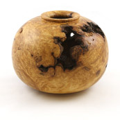 Unidentified Turner - Maple Burl from Lake Placid