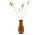 Matt Baker - Holly Flowers, Ambrosia Maple Vase, Unfinished
